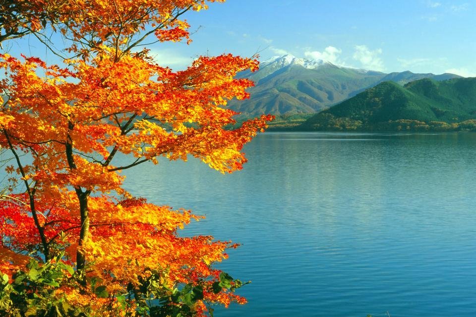 🏞️ 검은숲산 전망대 이미지 6